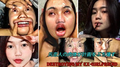 Ex-girlfriend flesh destroys porject